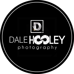 Dale Hooley Photography